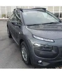 C4 cactus permuto