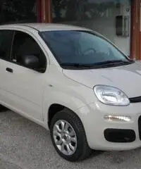 FIAT Panda 1.2 Easy rif. 5989996 - 2