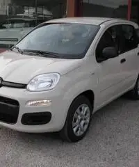 FIAT Panda 1.2 Easy rif. 5989996 - 3