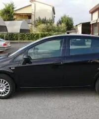 FIAT Punto 1.2 8V 5 porte Street rif. 5990008 - 8