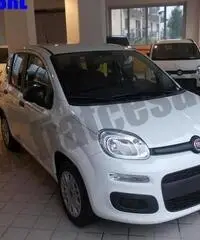 FIAT Panda 1.2 Easy rif. 7012439