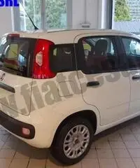 FIAT Panda 1.2 Easy rif. 7012439 - 2