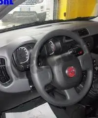 FIAT Panda 1.2 Easy rif. 7012439 - 5