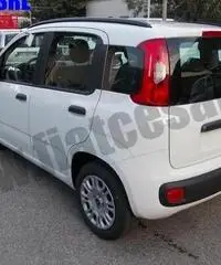 FIAT Panda 1.2 EasyPower Easy rif. 6828482 - 2