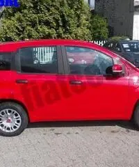 FIAT Panda 1.2 Pandazzurri rif. 6615248 - 2