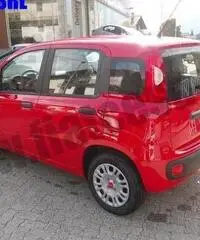 FIAT Panda 1.2 Pandazzurri rif. 6615248 - 3