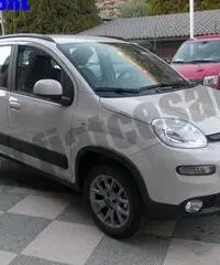 FIAT Panda 1.3 MJT 95 CV S&S 4x4 rif. 7092988