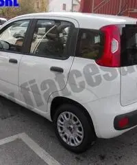 FIAT Panda 1.3 MJT 95 CV S&S Easy rif. 7084153 - 3