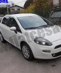 FIAT Punto 1.3 MJT II S&S 95 CV 5 porte Easy rif. 7110673