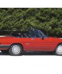 Alfa Romeo Duetto Spider - 4