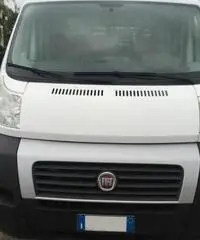 Fiat Ducato 33 LH1  2.3 MJT  6 +1 CON CASSONE - 2