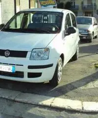 fiat panda 1200 dinamic 5 posti - 2