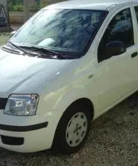 Fiat Panda 1.2 Active - 3