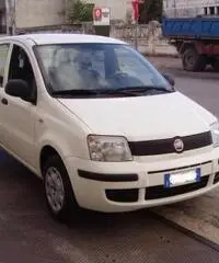 FIAT Panda 1.2 Active rif. 7196879