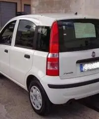 FIAT Panda 1.2 Active rif. 7196879 - 4