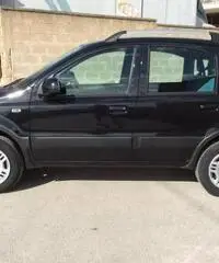 Fiat Panda 1.2 Climbing Natural Power - 3