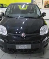 FIAT Panda 1.2 Easy rif. 7196249 - 2