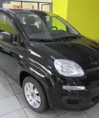 FIAT Panda 1.2 Easy rif. 7196249 - 3