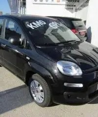 FIAT Panda 1.2 EasyPower Easy rif. 7193107 - 2