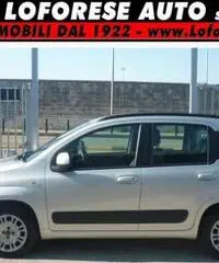 FIAT Panda 1.2 Lounge UNICO PROPRIETARIO rif. 7195736 - 3