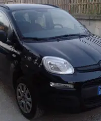 FIAT PANDA 3° SERIE - 2