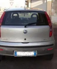 FIAT Punto 1.2 5 porte Active Natural Power rif. 7196884