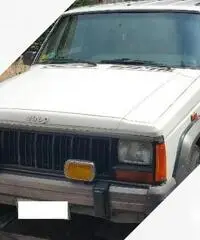 JEEP Cherokee 2.1td ASI 1989 - 2