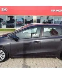 KIA ceed cee'd 1.6 CRDi 110 CV 5 porte Active - 8