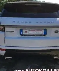 LAND ROVER Range Rover Evoque 2.2 TD4 Pure (C. Automatico-Xeno-Pelle) - 6