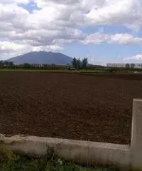 Terreno in Vendita 10000mq - 6