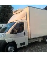 FIAT Ducato FRIGO CON DIVISORIO - 2