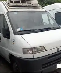 FIAT Ducato FURGONE - 2