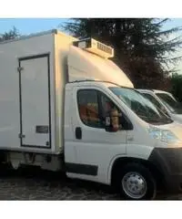 IVECO Daily FRIGO CON DIVISORIO