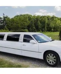 Lincoln town car limousine