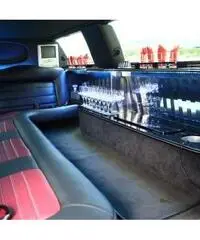 Lincoln town car limousine - 4