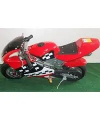 MINIMOTO GP1 49 cc