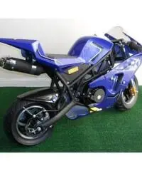 MINIMOTO GP2 49cc