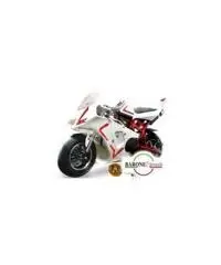 Minimoto GP Trofeo 50 cc - 8