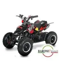 Miniquad Cobra 50cc E-Start R6