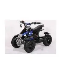 Miniquad Cobra 50cc E-Start R6 - 6