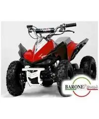 Miniquad Monster 50cc E-Start R6