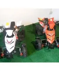 MINIQUAD RAPTOR 49cc R4