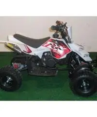 MINIQUAD RAPTOR 49cc R4 - 2