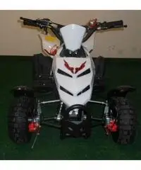 MINIQUAD RAPTOR 49cc R4 - 3