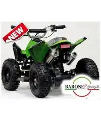 Miniquad Raptor Big 50cc E-Start R6 - 4