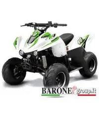 New Quad Bamboo 50cc