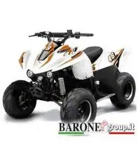 New Quad Bamboo 50cc - 2