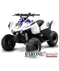 New Quad Bamboo 50cc - 3