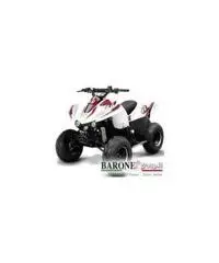 New Quad Bamboo 50cc - 4