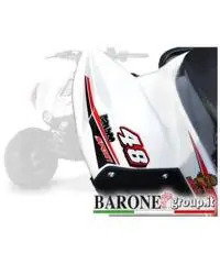 New Quad Bamboo 50cc - 10